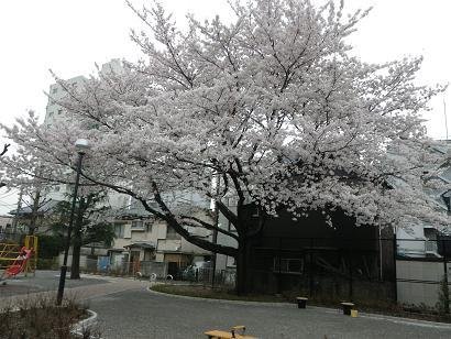 野沢二丁目公園(旧野沢第二児童遊園)