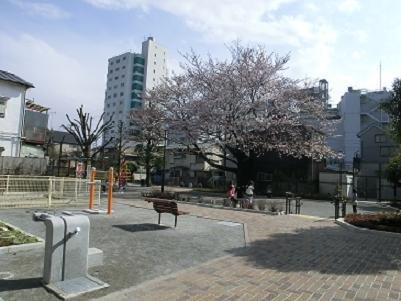 野沢二丁目公園(旧野沢第二児童遊園)