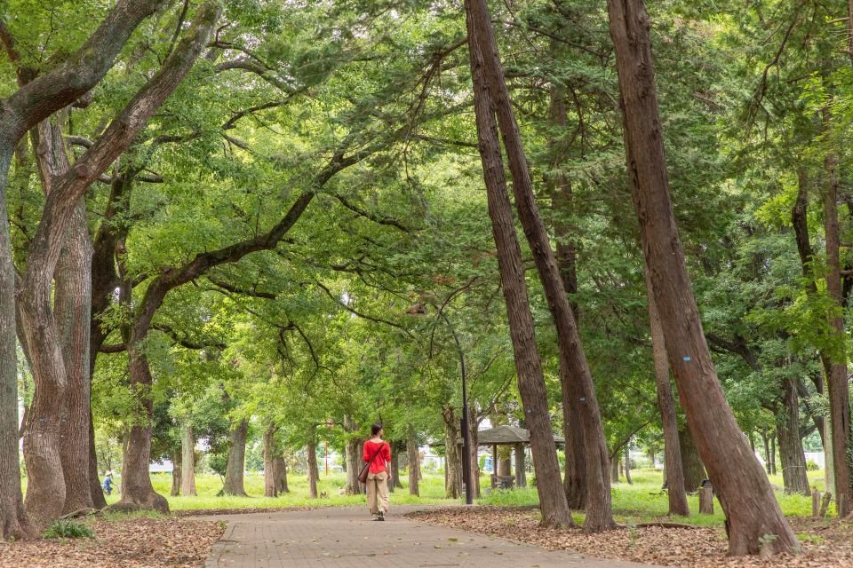 都立蘆花恒春園