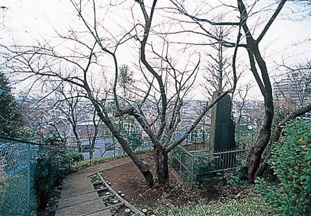 北沢見晴らし広場