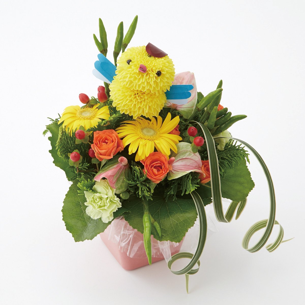 【2014年指定】おながちゃん　アレンジ