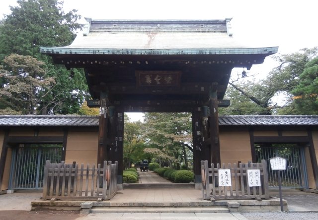 豪徳寺