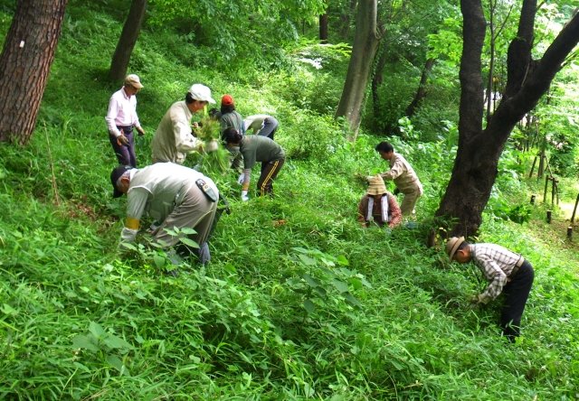 成城三丁目緑地
