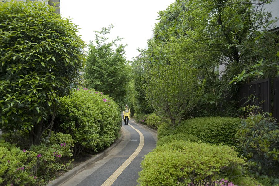 歩いて楽しい北沢川緑道(豪徳寺1丁目)