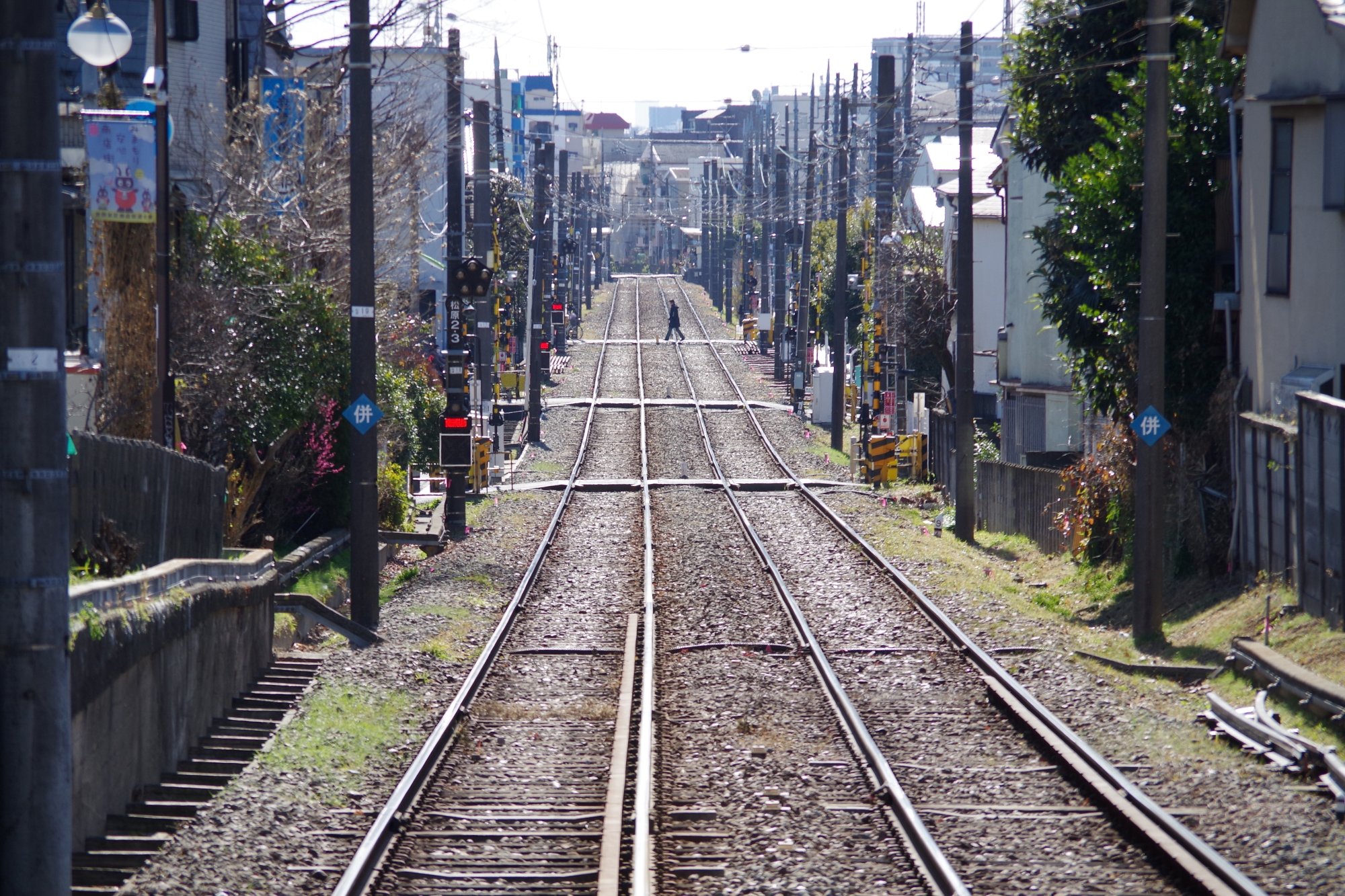 ほっとやすらぐ世田谷線界隈の情景