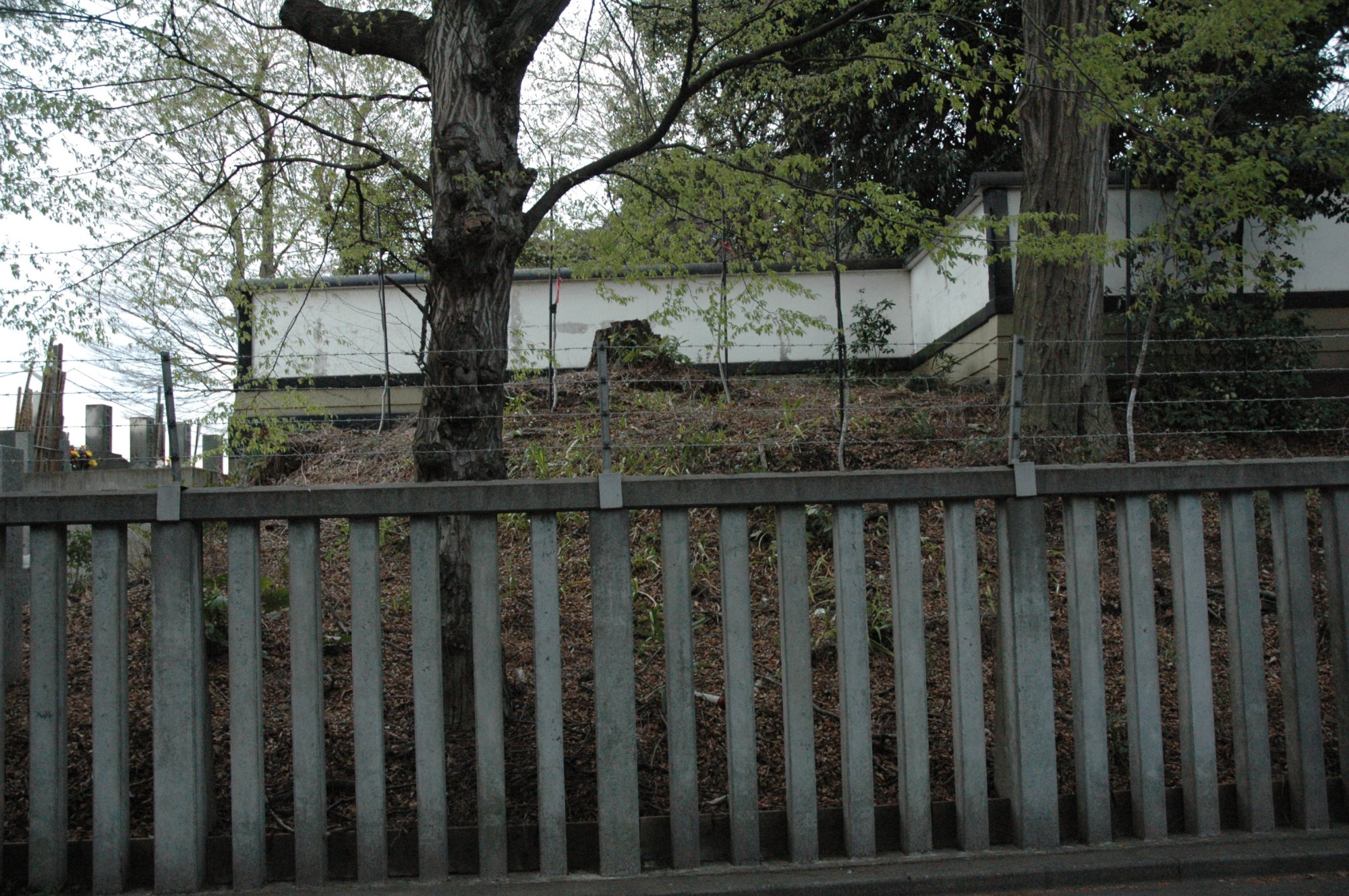 鷺草伝説ゆかりの奥沢城趾のある風景