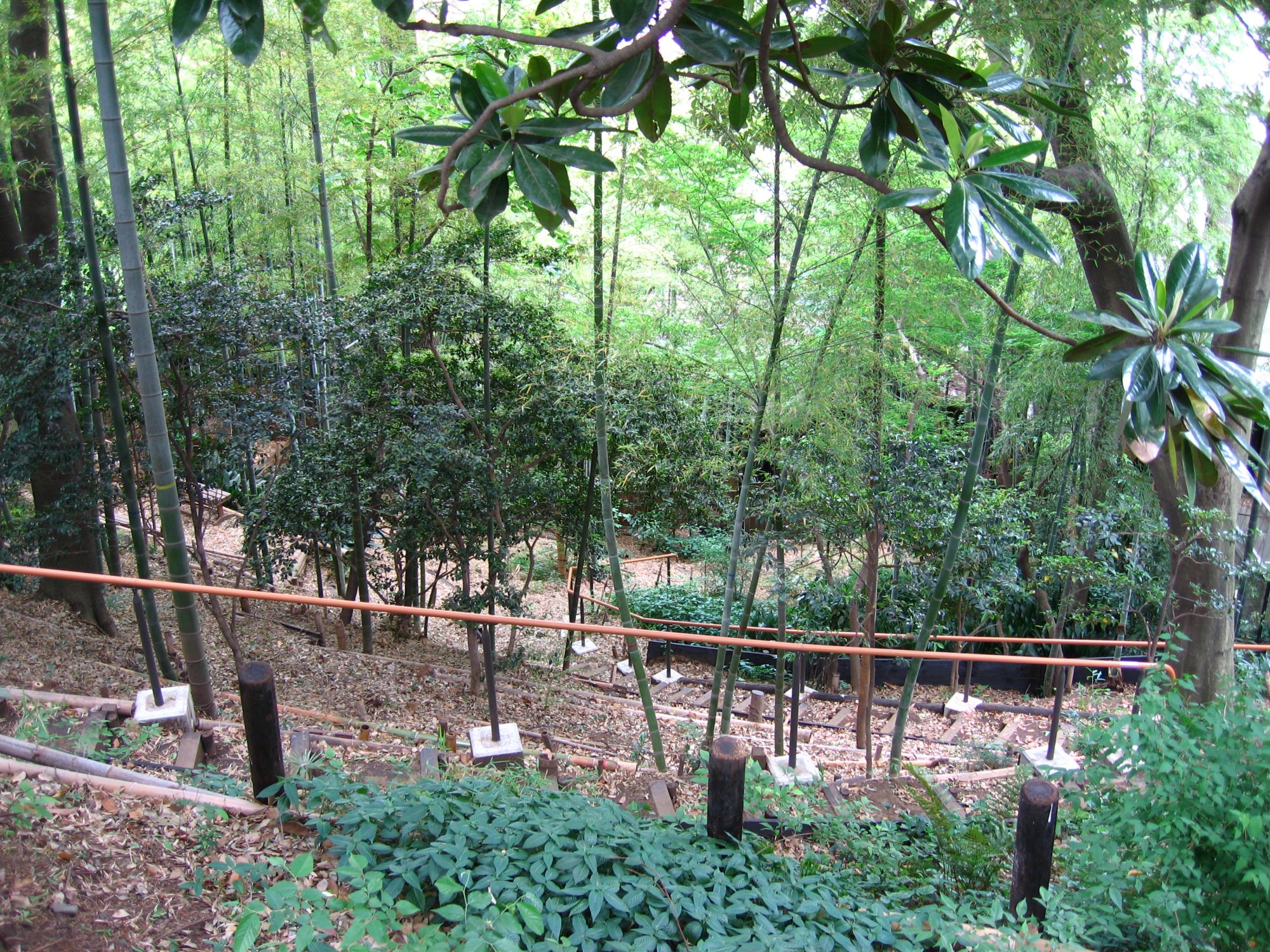 成城三丁目なかんだの坂市民緑地