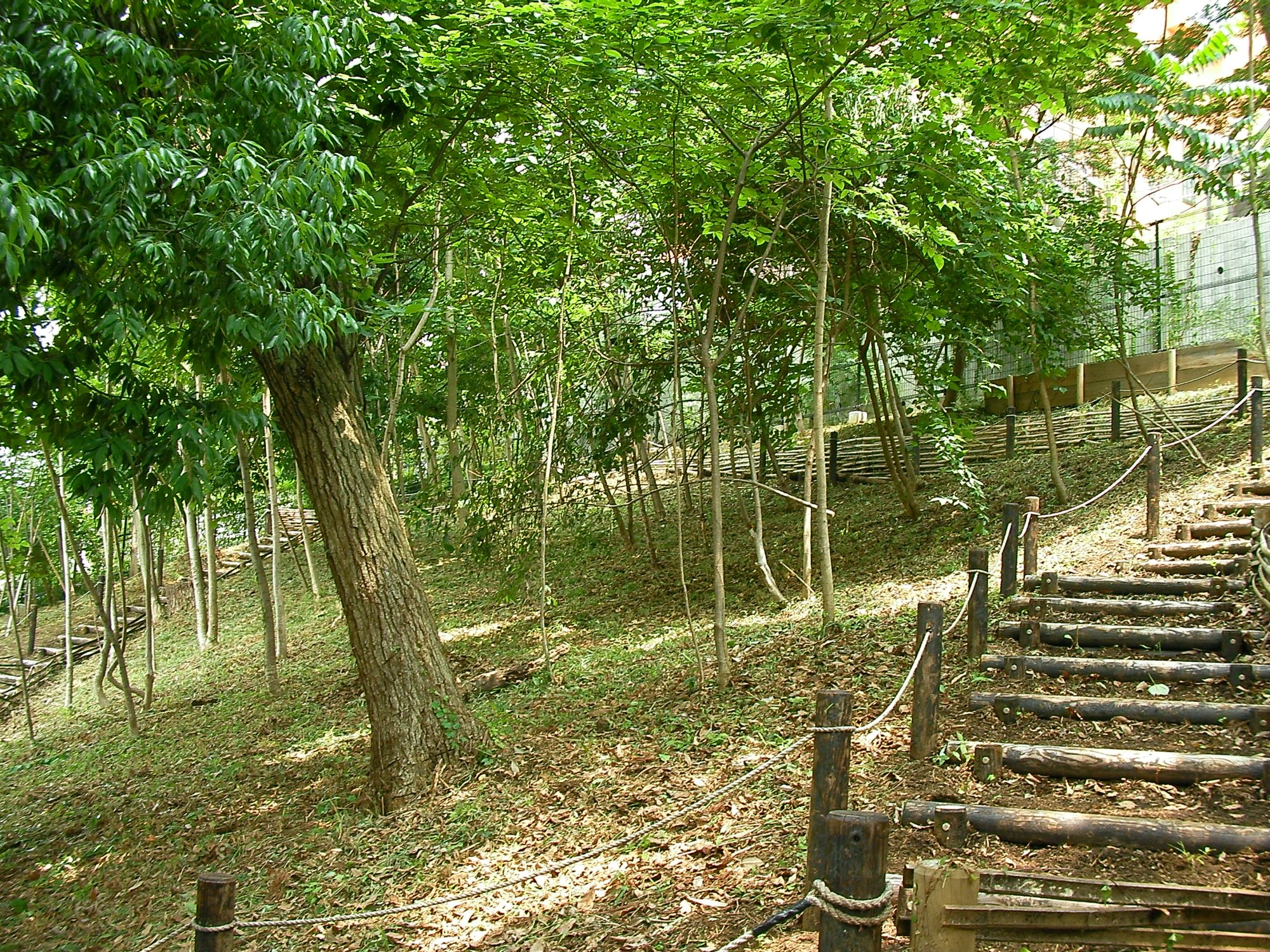 成城三丁目崖（はけ）の林市民緑地