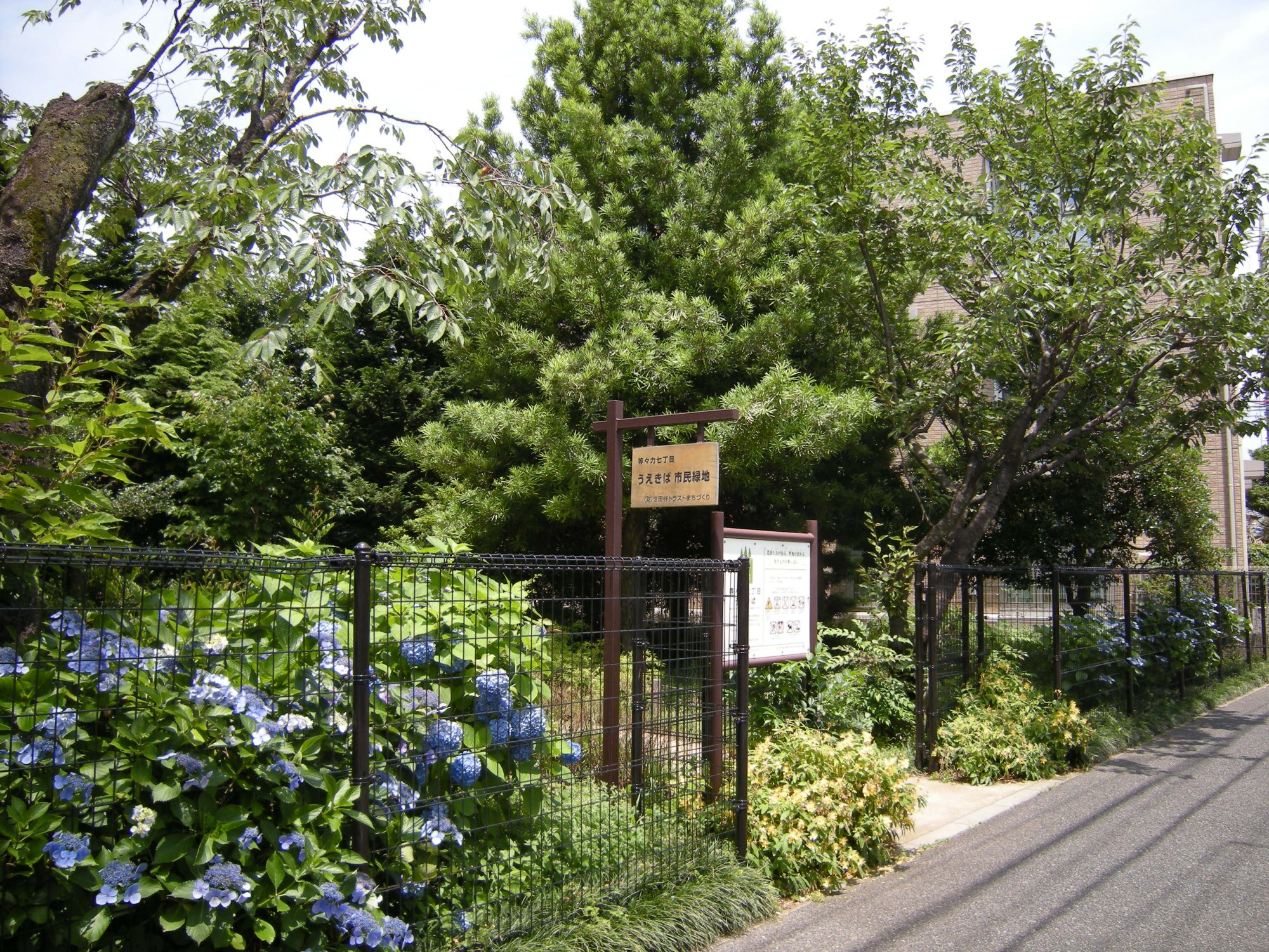 等々力七丁目うえきば市民緑地