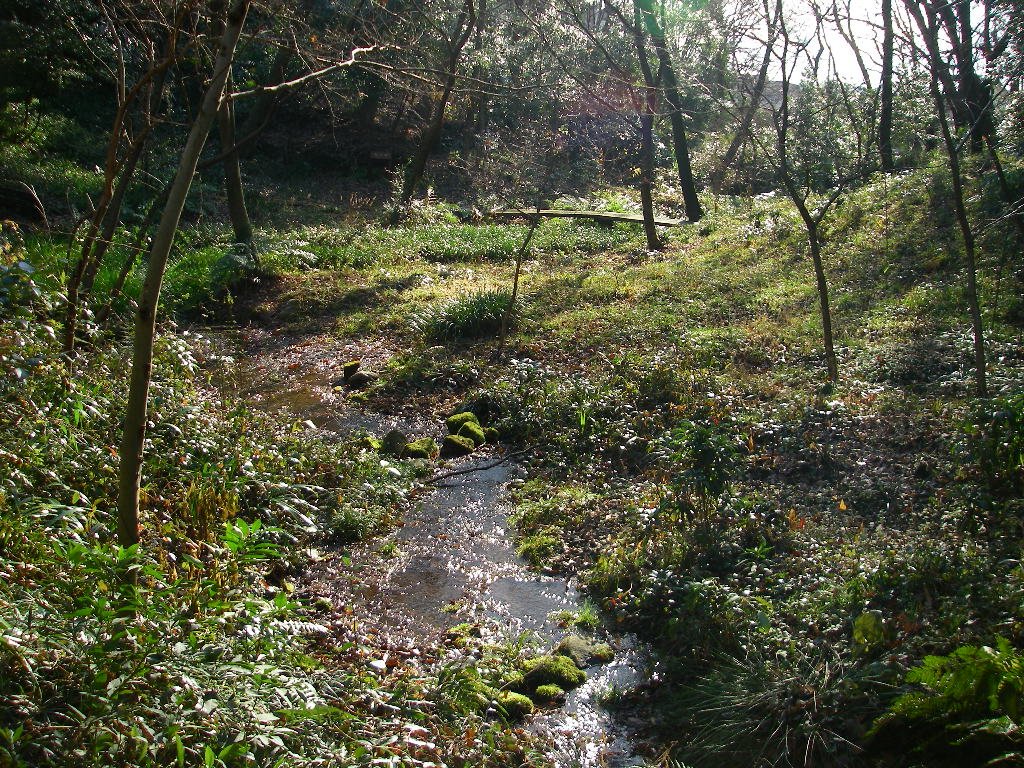 成城みつ池緑地