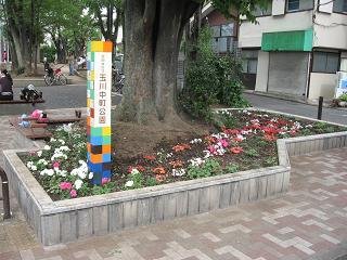 玉川中町公園