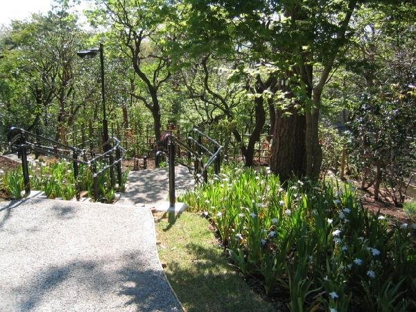 成城四丁目緑地