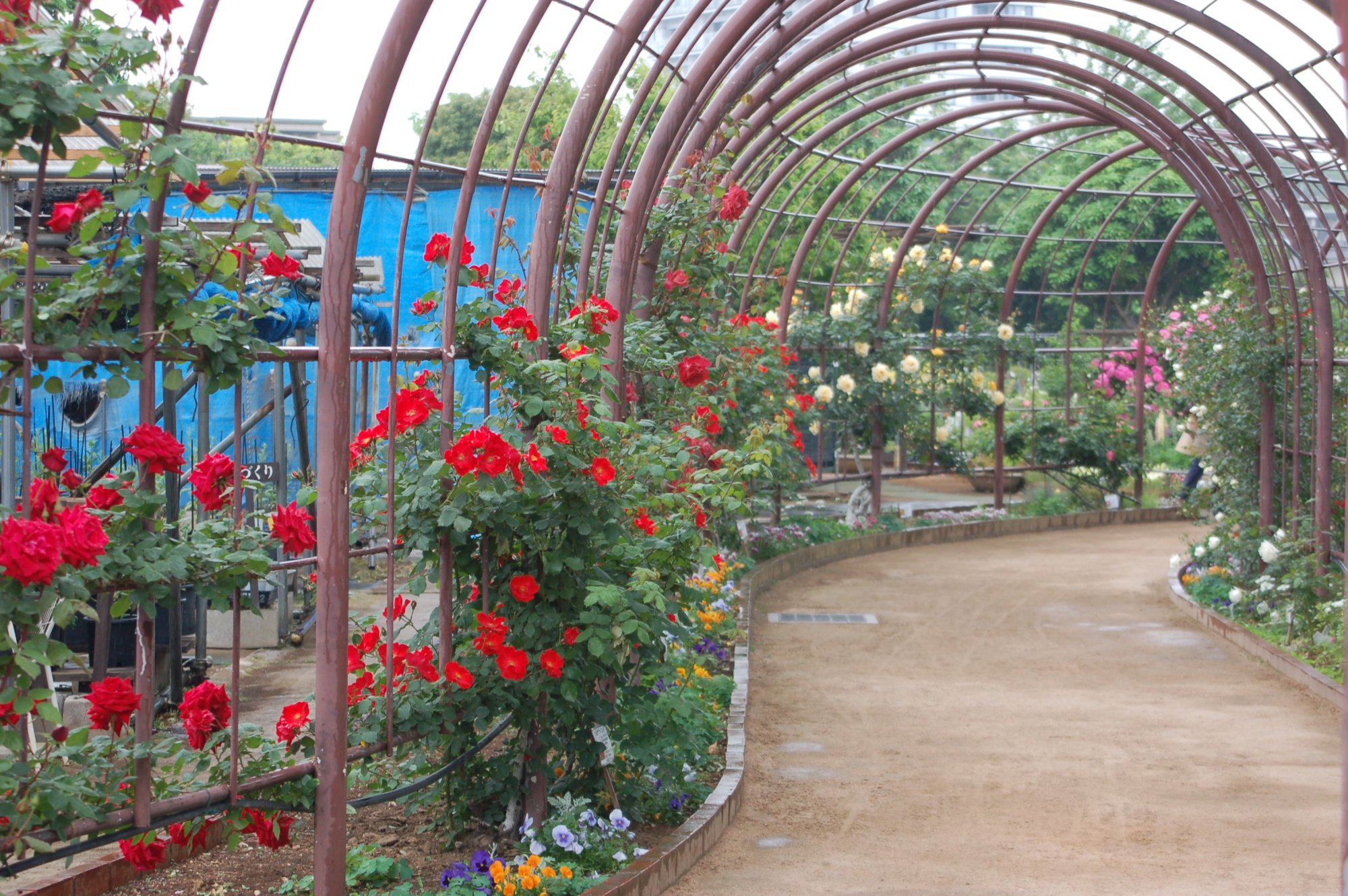 フラワーランド（瀬田農業公園）