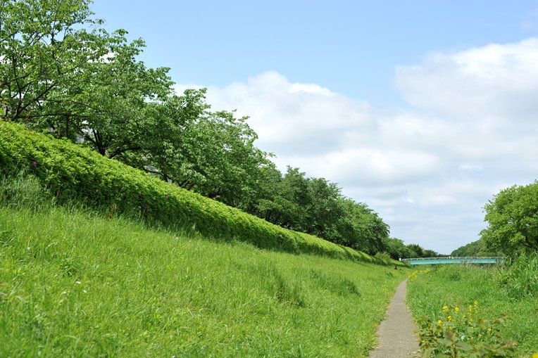 野川緑道