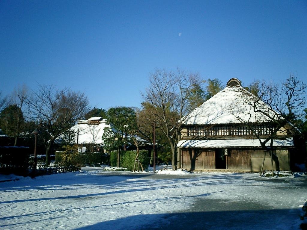 次大夫堀公園