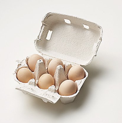 【2011年指定】放し飼い有精卵