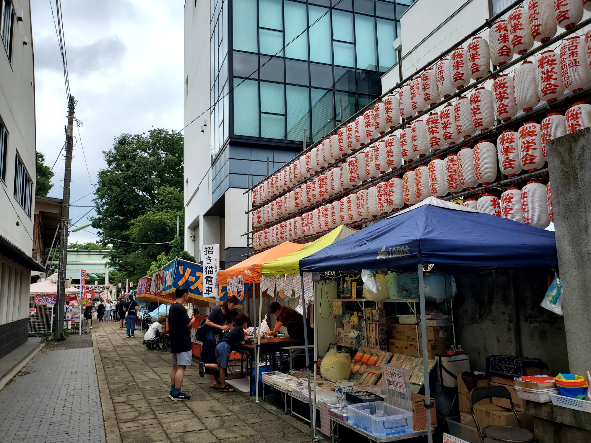 せたがやホタル祭りとサギ草市