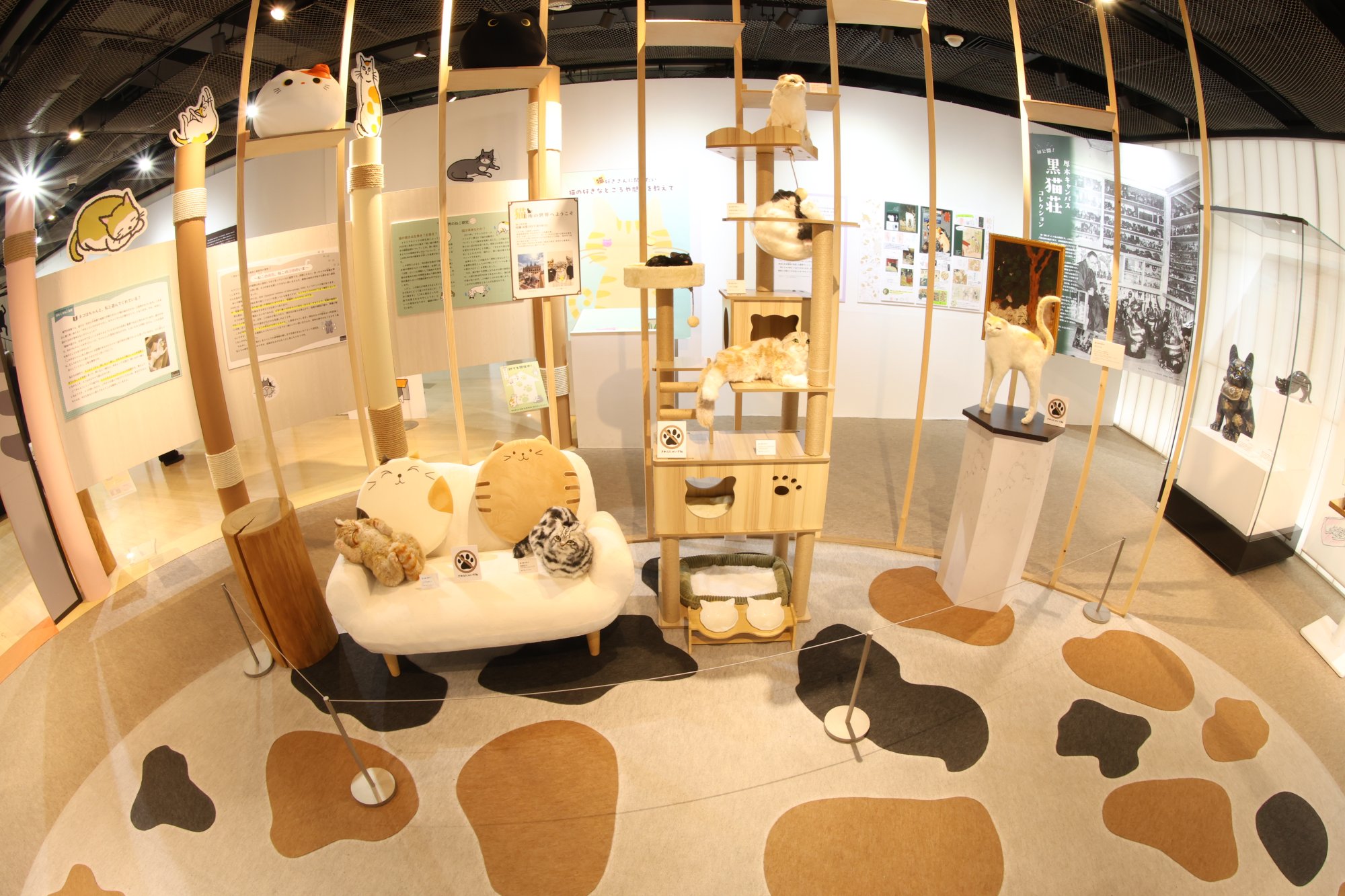 企画展「猫のすゝめ」