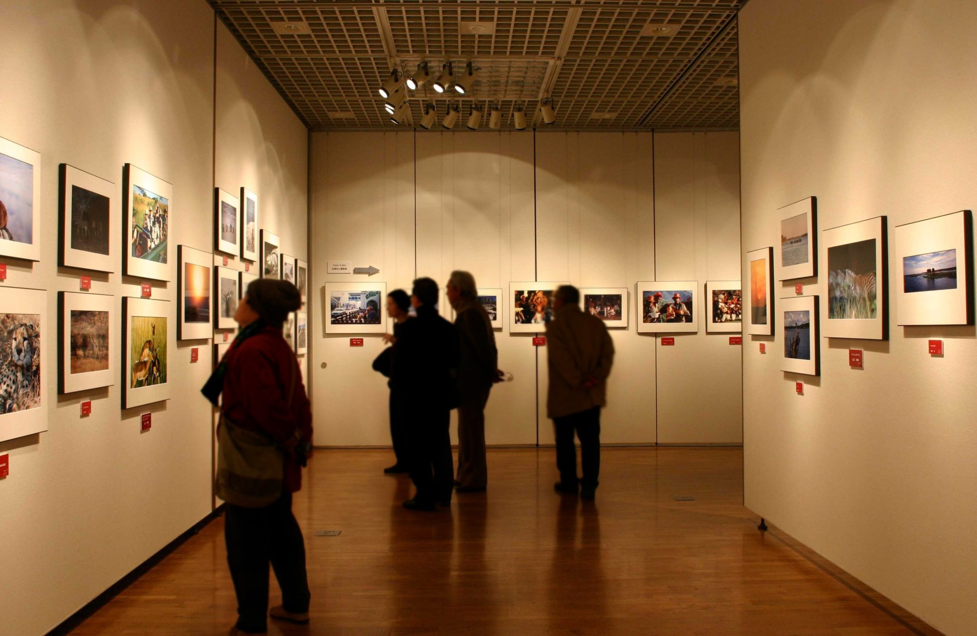 世田谷文化生活情報センター（キャロットタワー内）