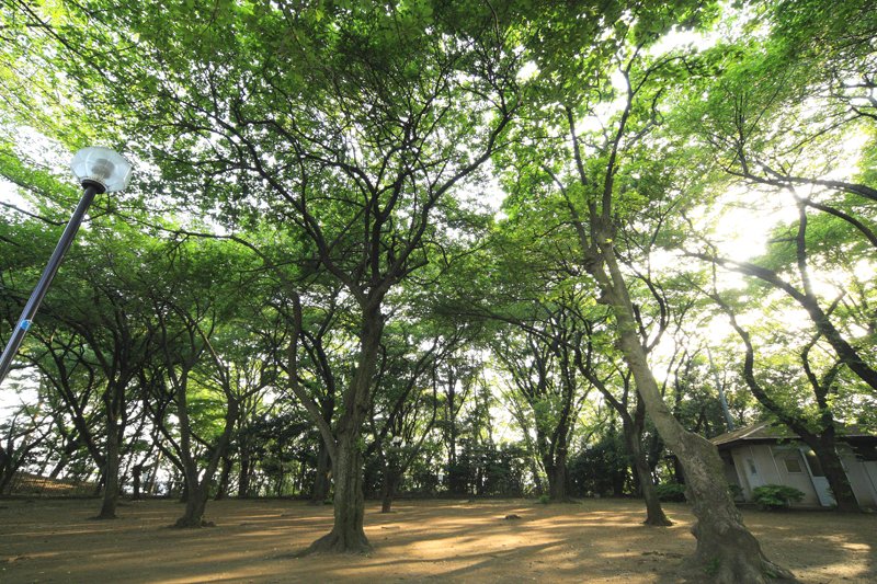 上野毛自然公園