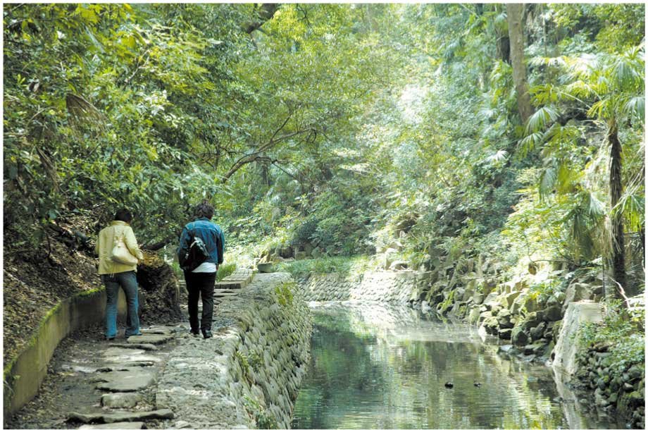 等々力渓谷・等々力渓谷公園