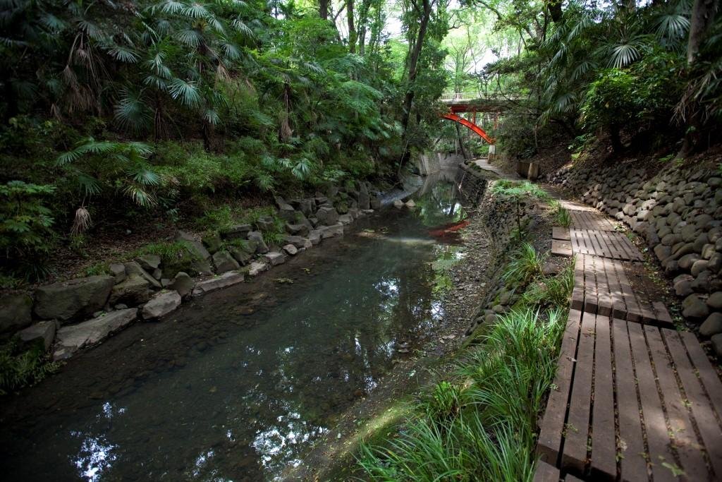 等々力渓谷・等々力渓谷公園