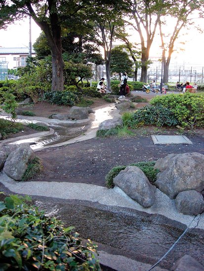 松林と大欅のある世田谷新町公園