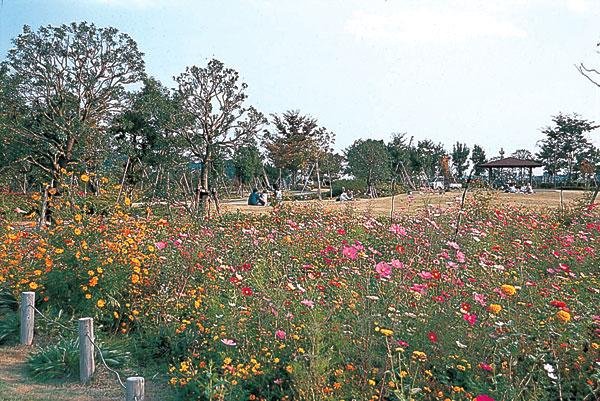 きたみふれあい広場