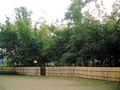 喜多見五丁目竹山市民緑地の竹林と垣根