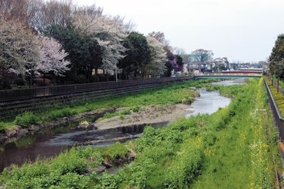 喜多見大橋から見た野川上流の眺め