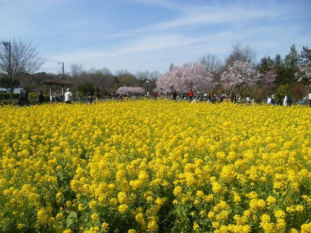 都立蘆花恒春園