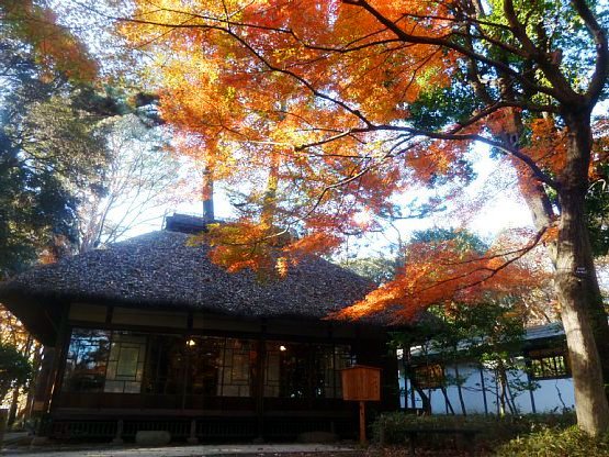 都立蘆花恒春園