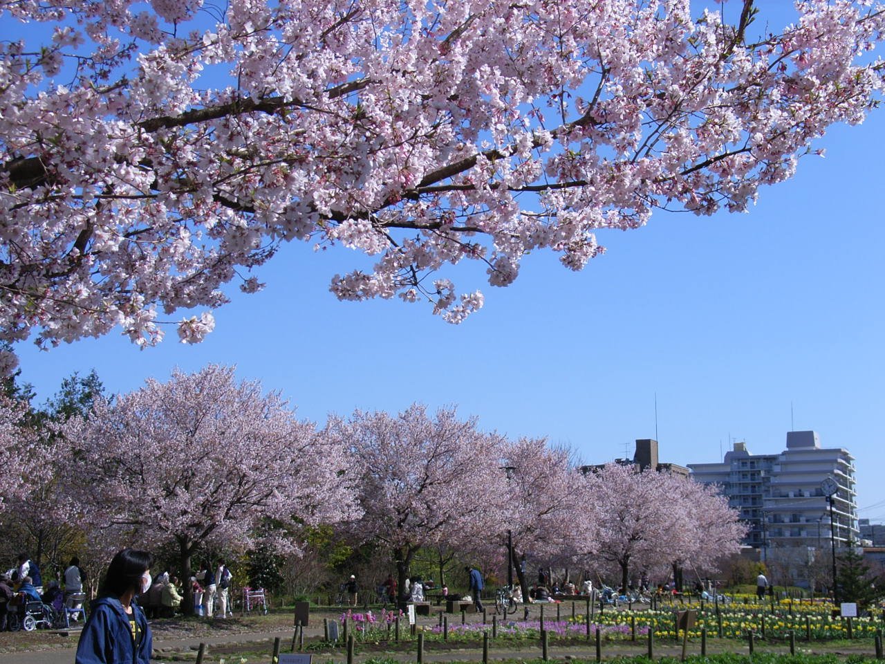 都立蘆花恒春園
