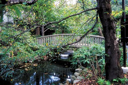 つりがね池と樹林
