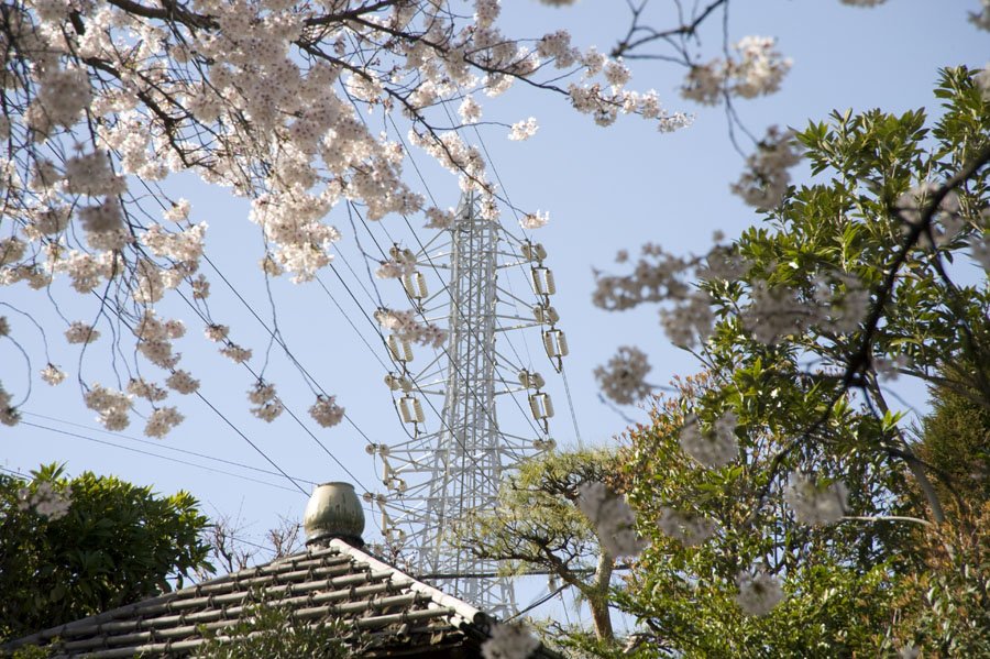 代田の丘の61号鉄塔