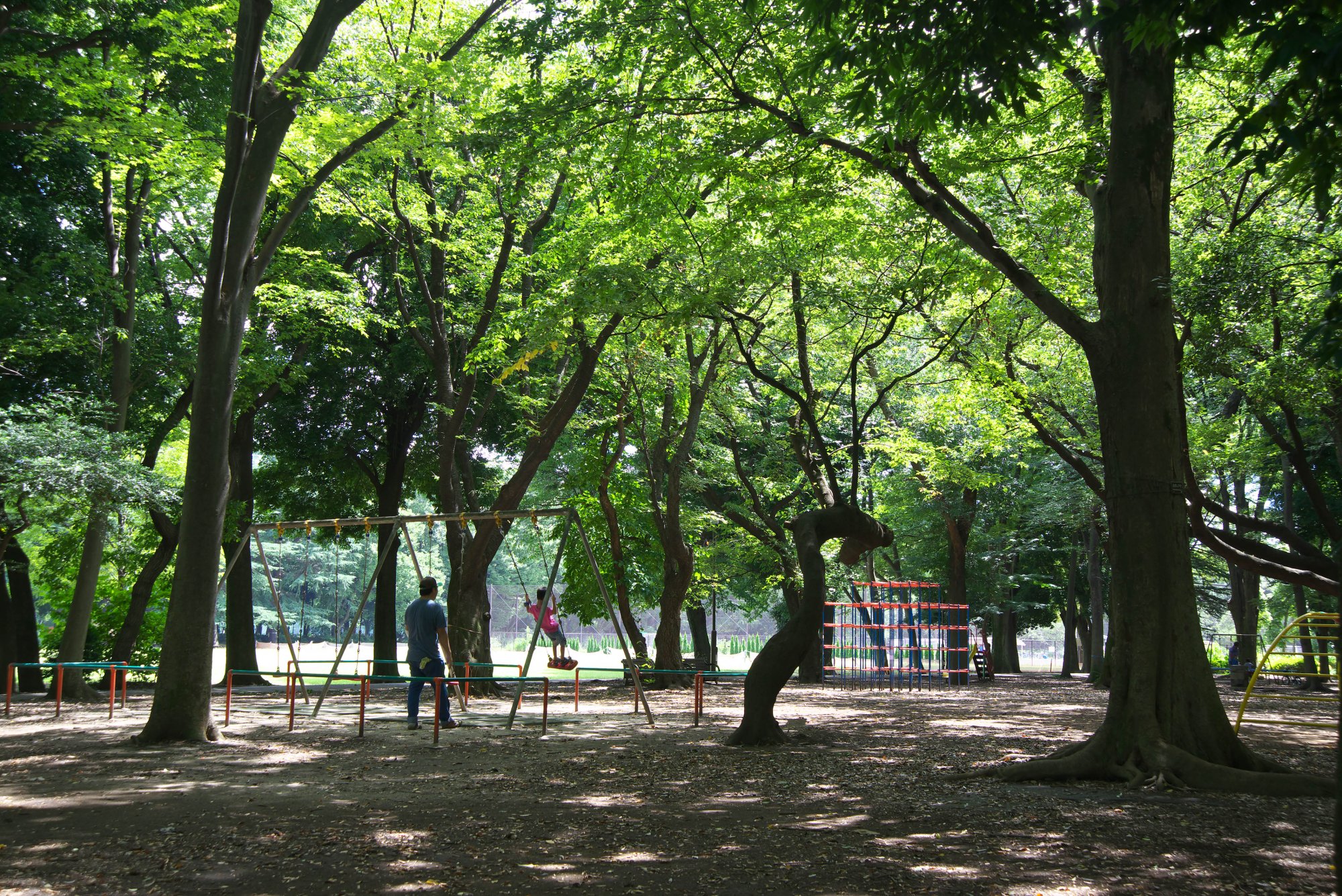 都立砧公園