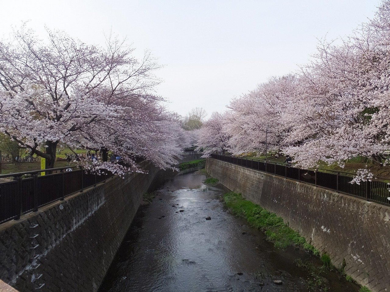 都立祖師谷公園