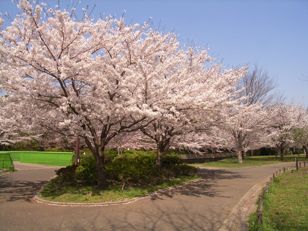 都立祖師谷公園