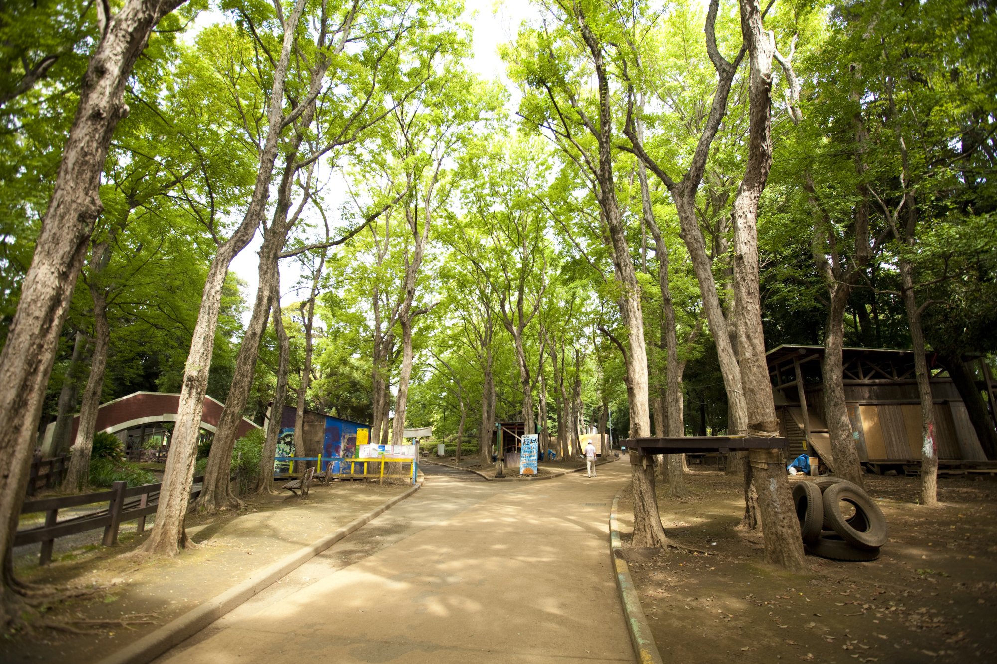 世田谷公園