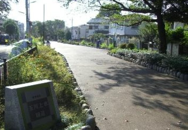 玉川上水緑道