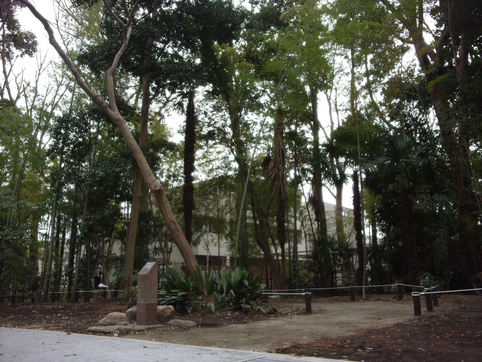 玉川台二丁目五郎様の森市民緑地