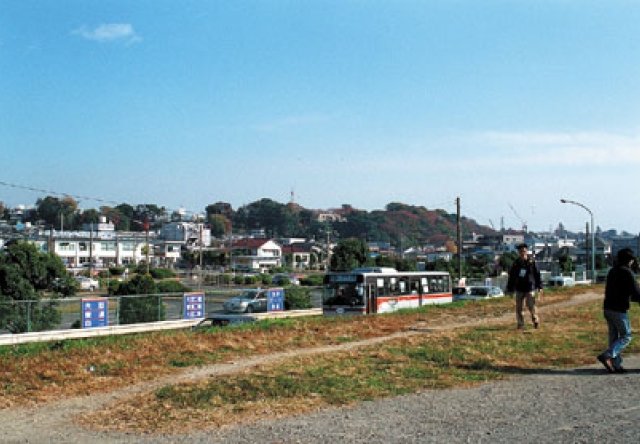 国分寺崖線を眺められる多摩川堤