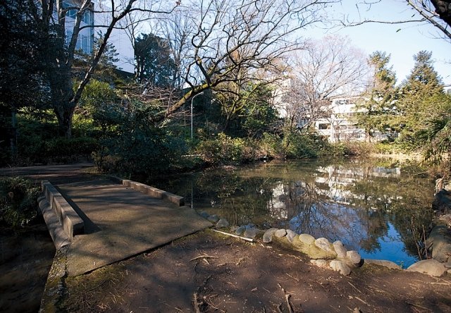 成城学園の池