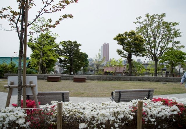 大ケヤキのある円泉ヶ丘公園