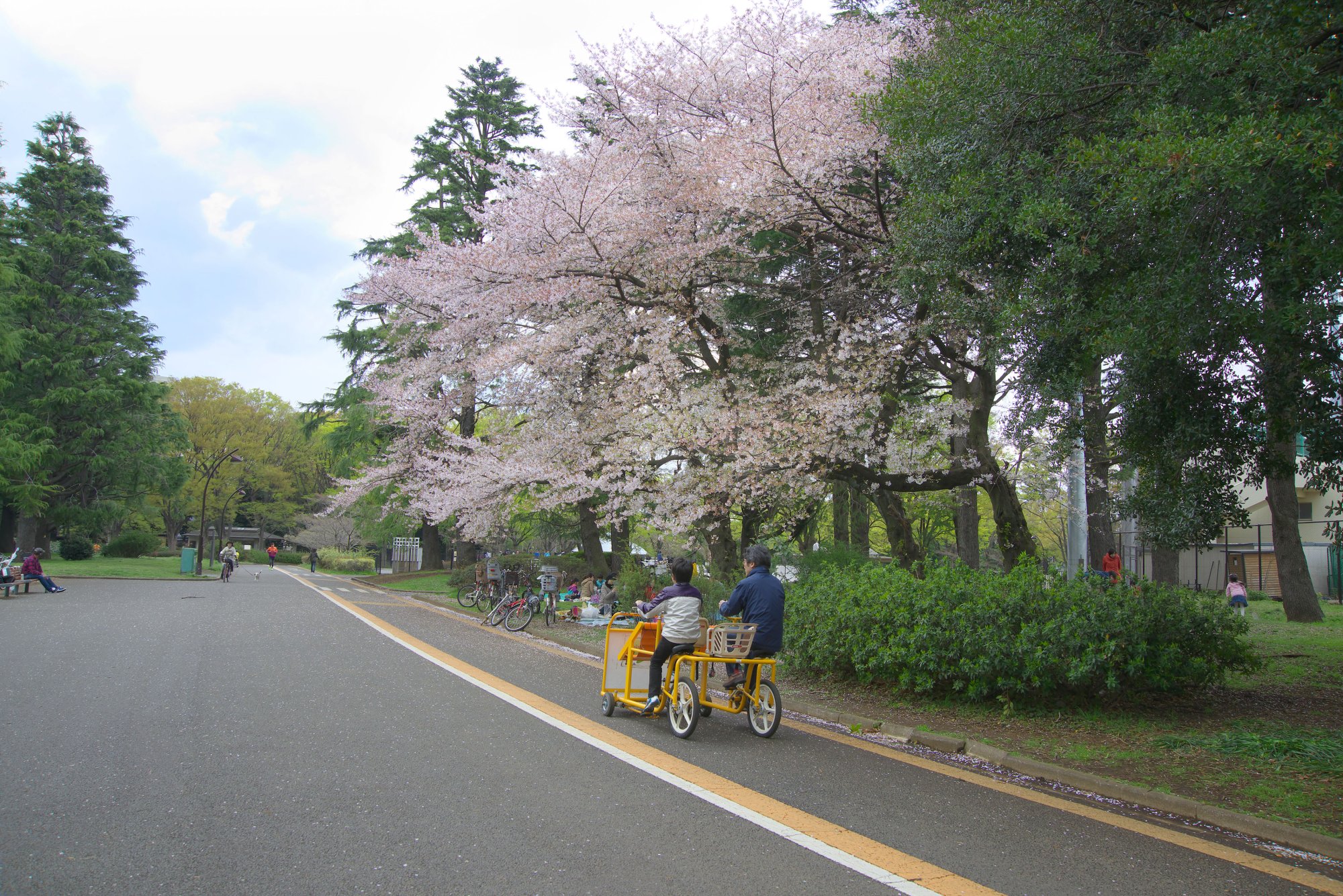 都立駒沢オリンピック公園