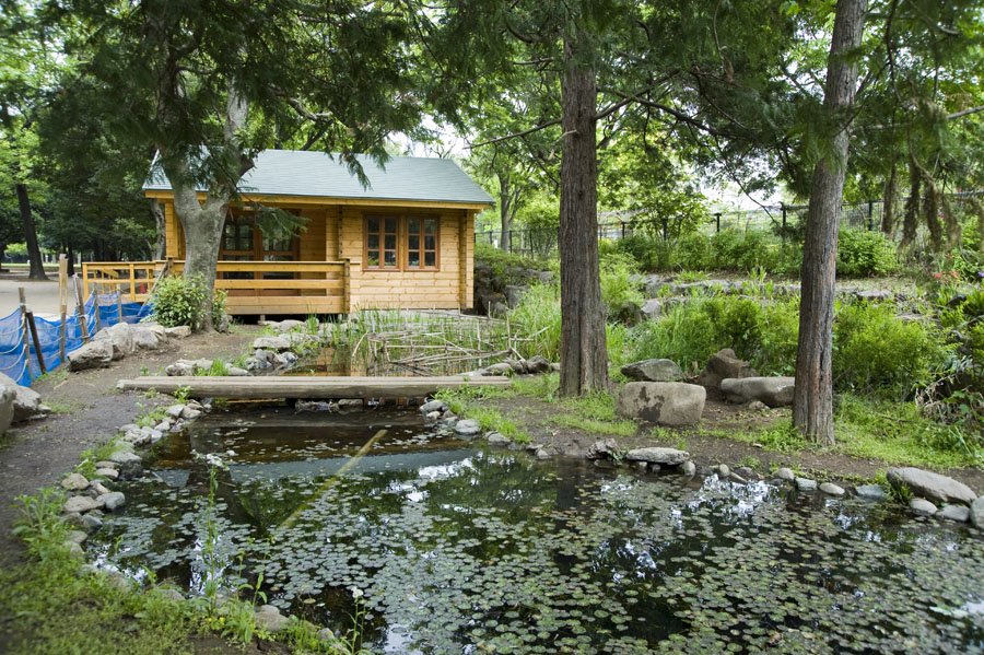 水辺の自然とふれあえる蘆花恒春園「みんなのとんぼ池」「やごの楽校」