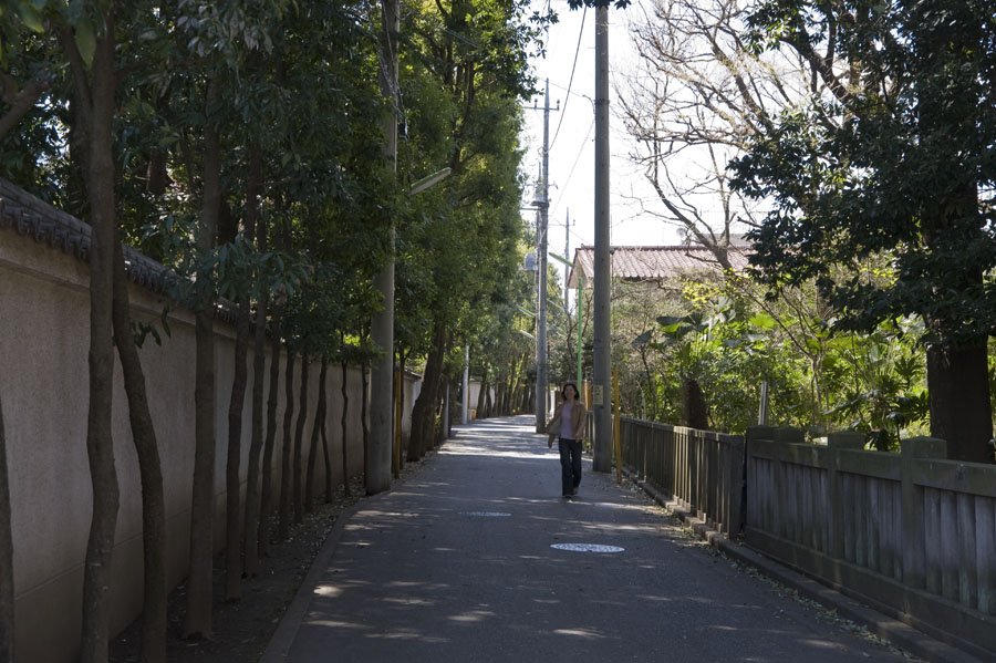 喜多見・歴史の道～慶元寺・氷川神社界わい