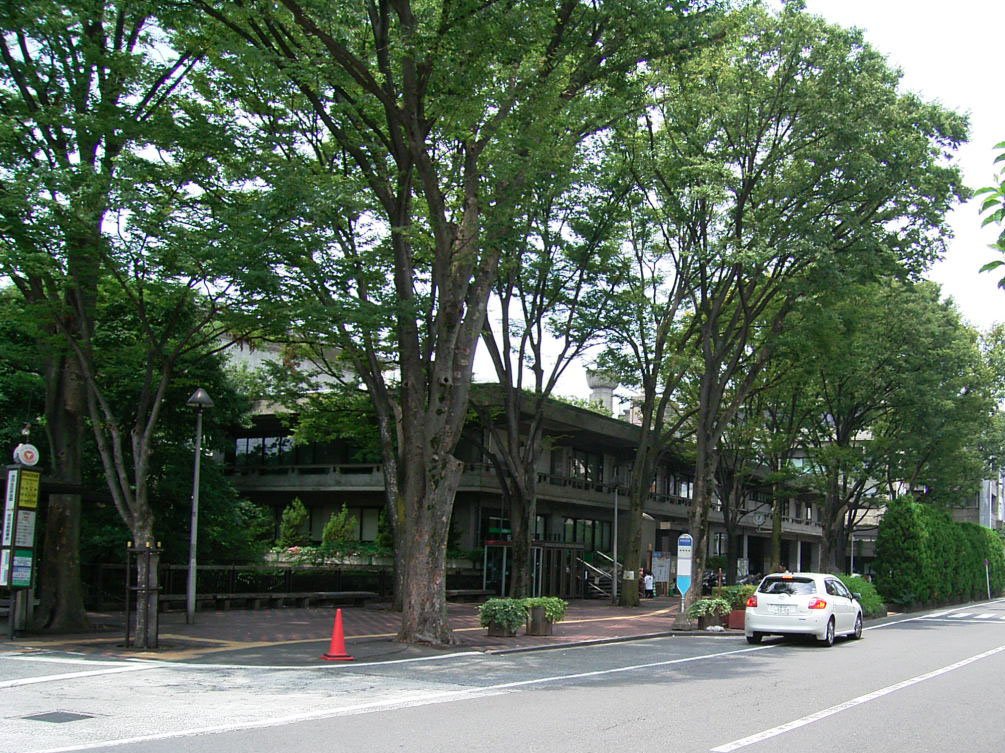 世田谷区庁舎のケヤキ並木が作る広場の風景