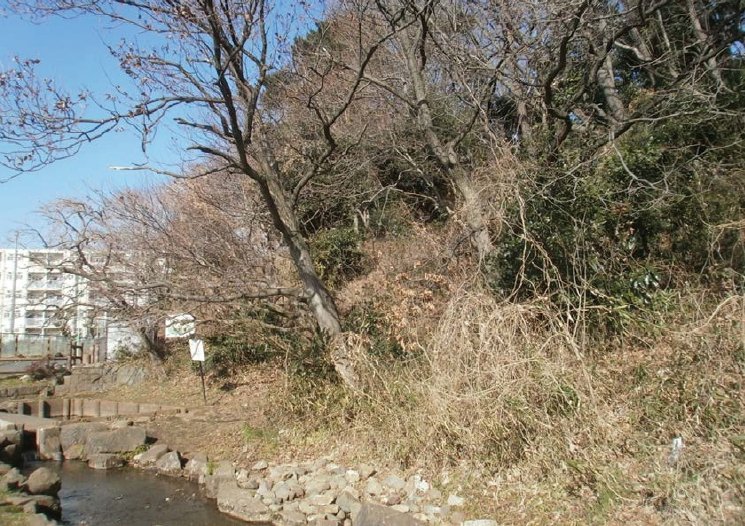 石井戸（大蔵）の愛宕山