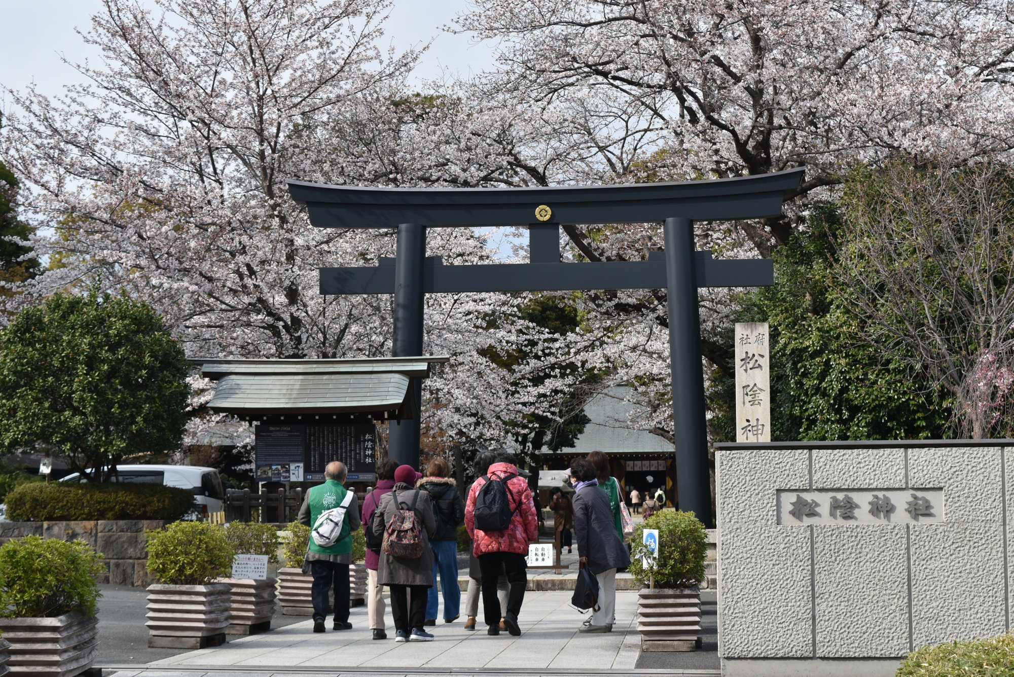 人気スポット厳選コース